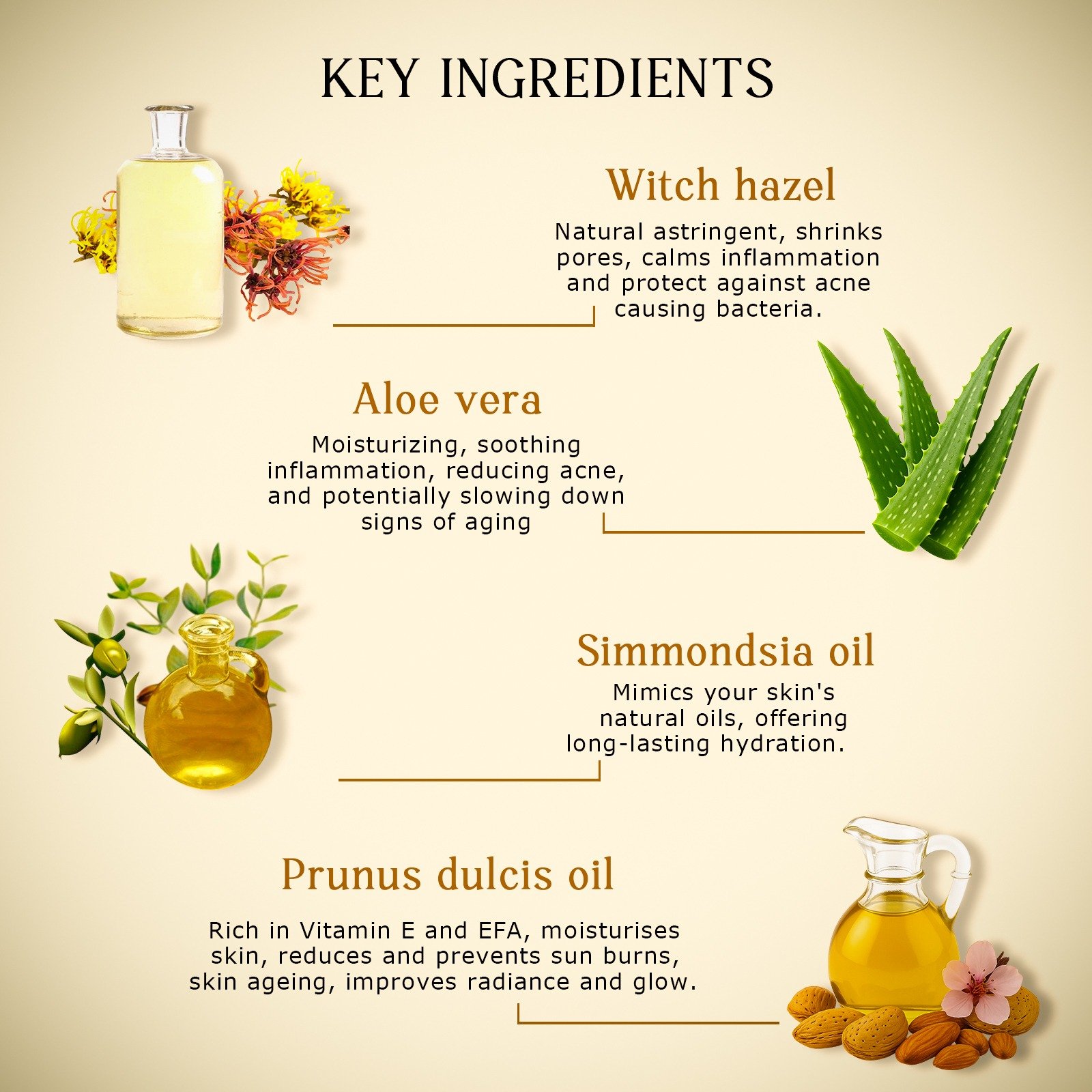 1744453038826-2NIGHT_CREAM_PXi-CkWuTd