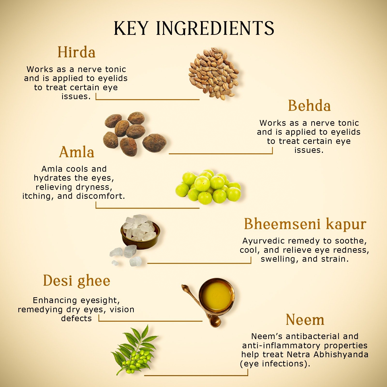 1744453458087-10_ANJAN_RNCXmCkwOm